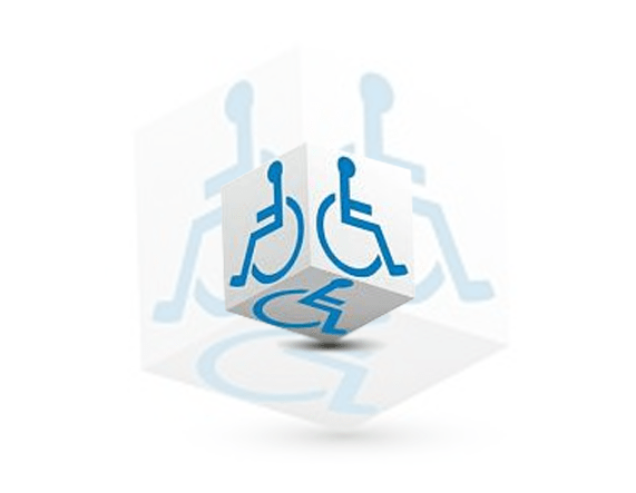 Disability