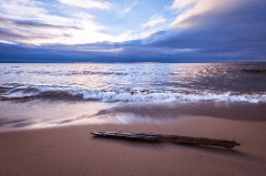 Beach Scene