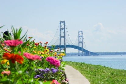 Bridge and Flowers