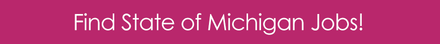 Find State of Michigan Jobs button