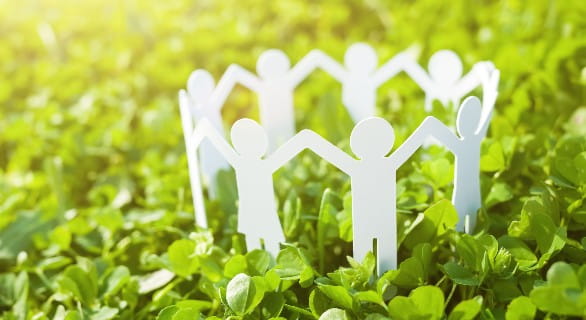Paper students in a field of green 