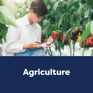 Agriculture