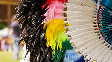 Tribal Nations in Michigan icon displaying an image of powwow regalia