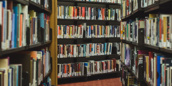 Library shelves