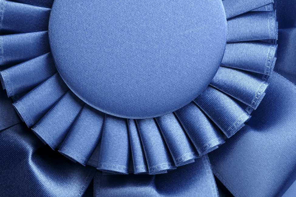 Blue Ribbon Picture