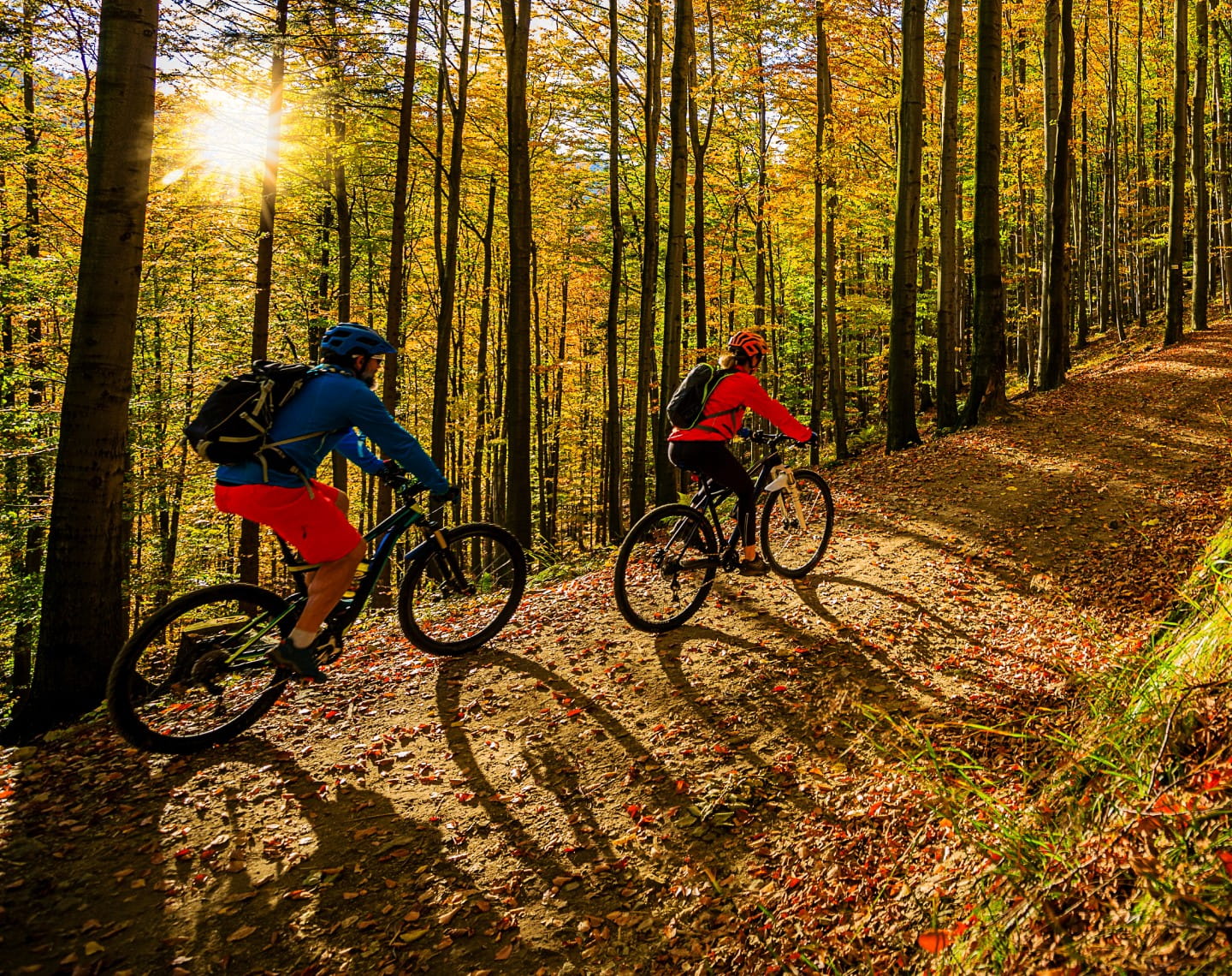 Two mountain bikers ride along a trail as the sun peaks through trees