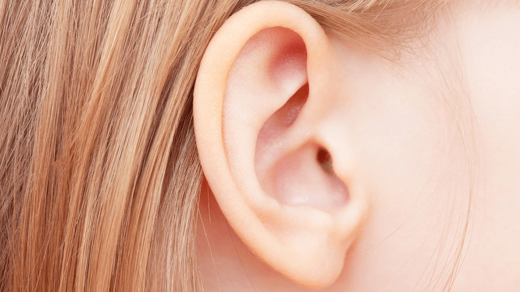 Closeup of a person's ear and blonde hair.