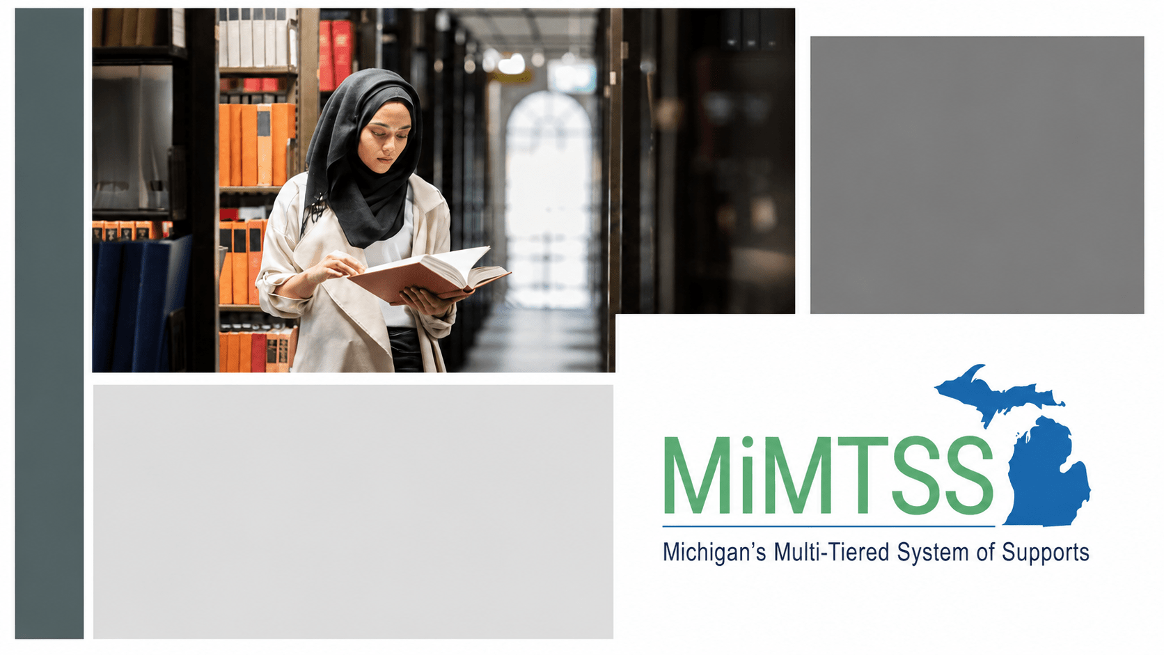 MiMTSS Resources