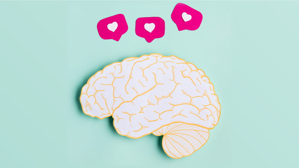 Top view paper brain shape with three magenta thought bubbles with white hearts inside above