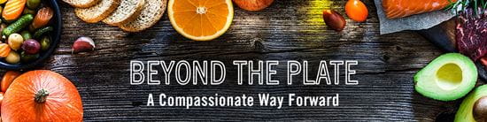 2023 Beyond the Plate Banner