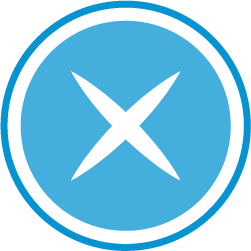 X mark icon