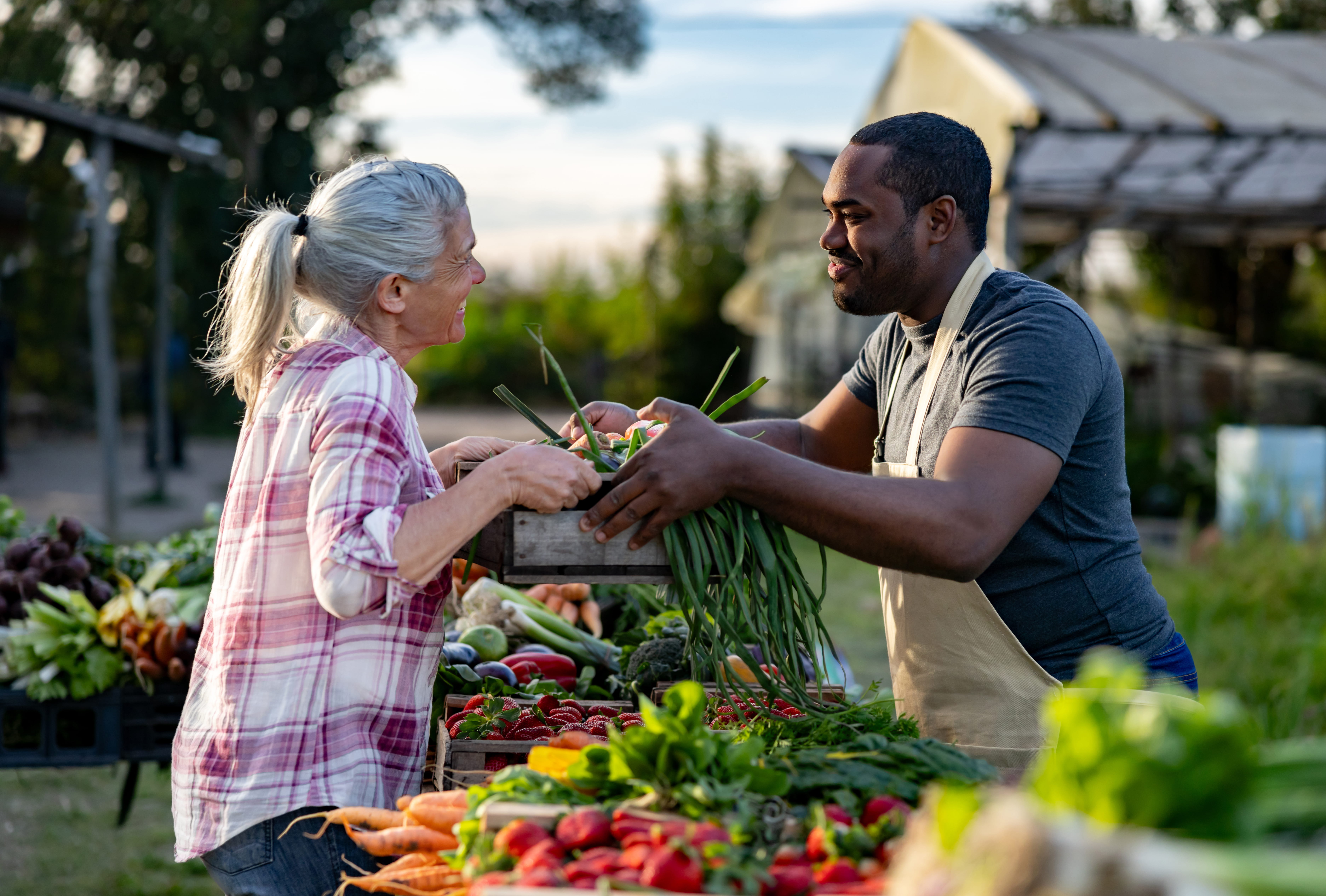 Farmers Market 2