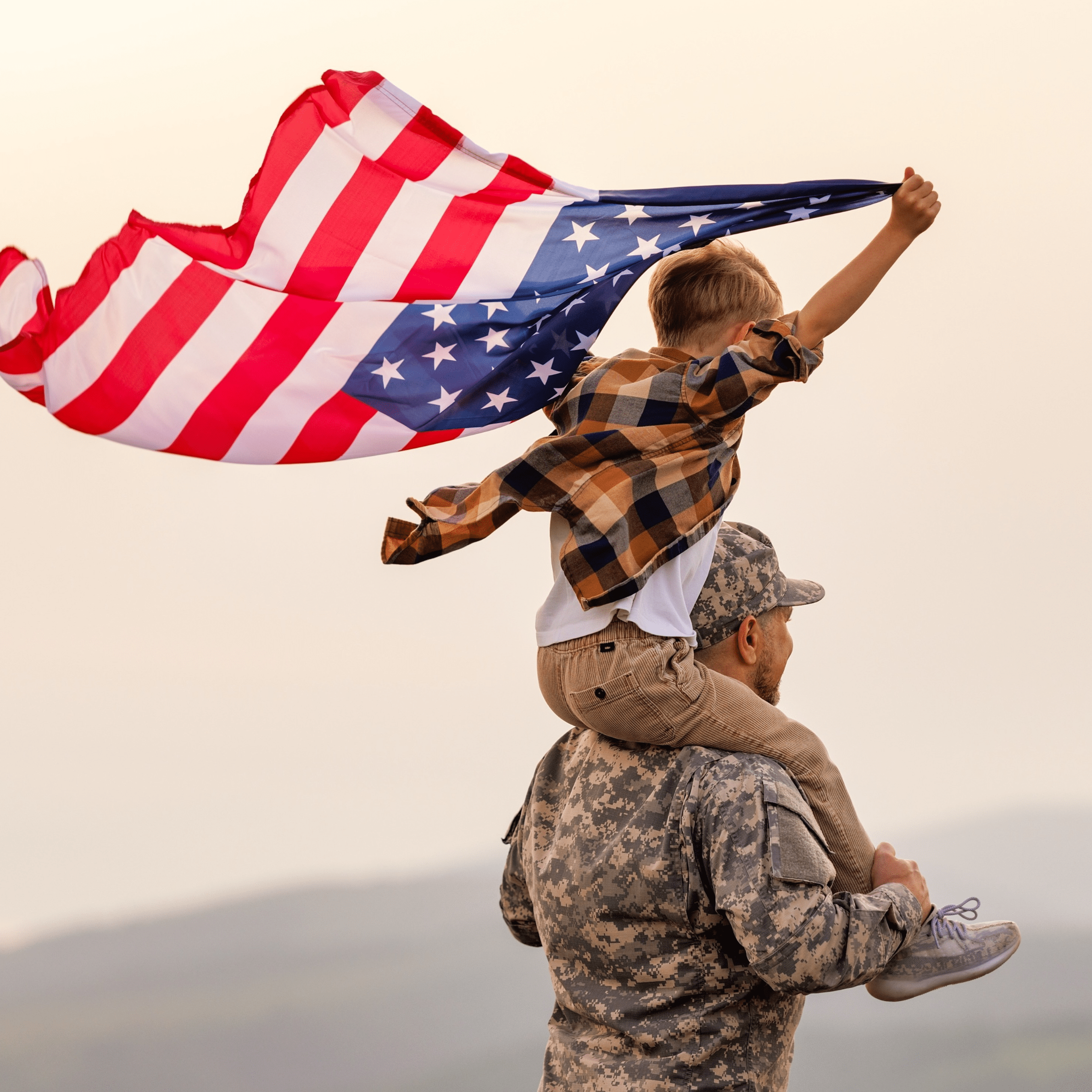 Veterans and Target Populations Image