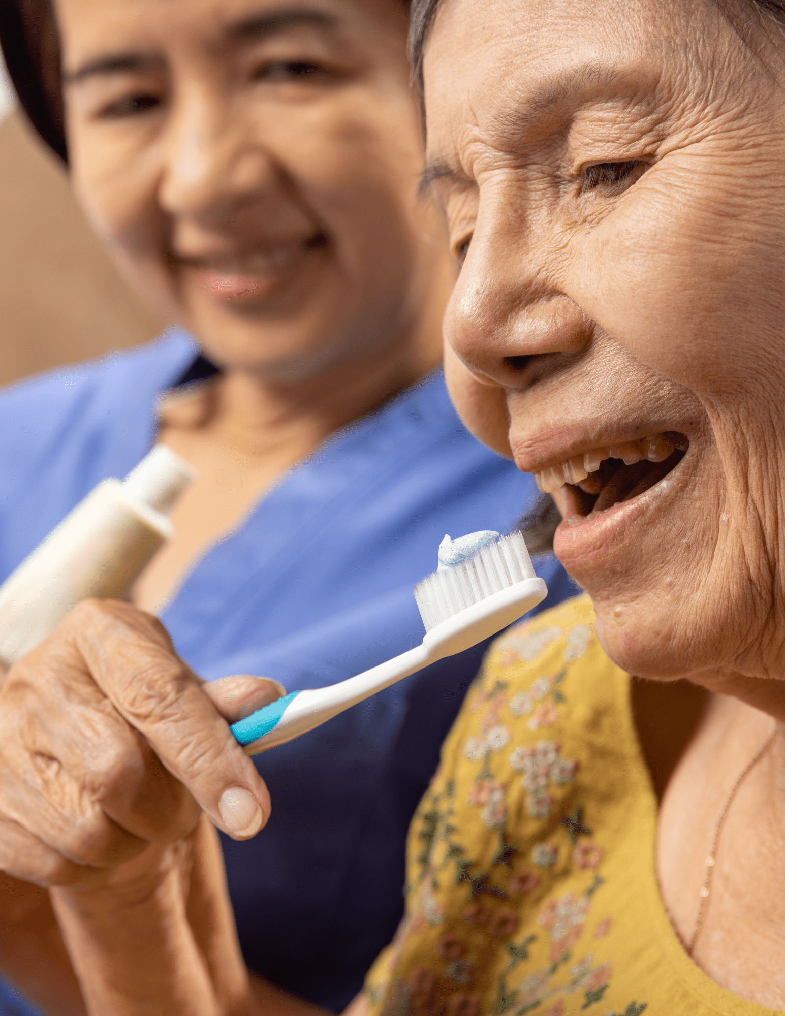 dds donated dental services
