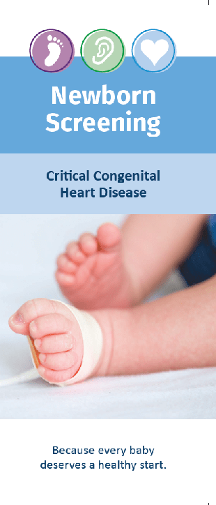 Front cover of the Michigan Newborn Screening for Critical Congenital Heart Disease brochure