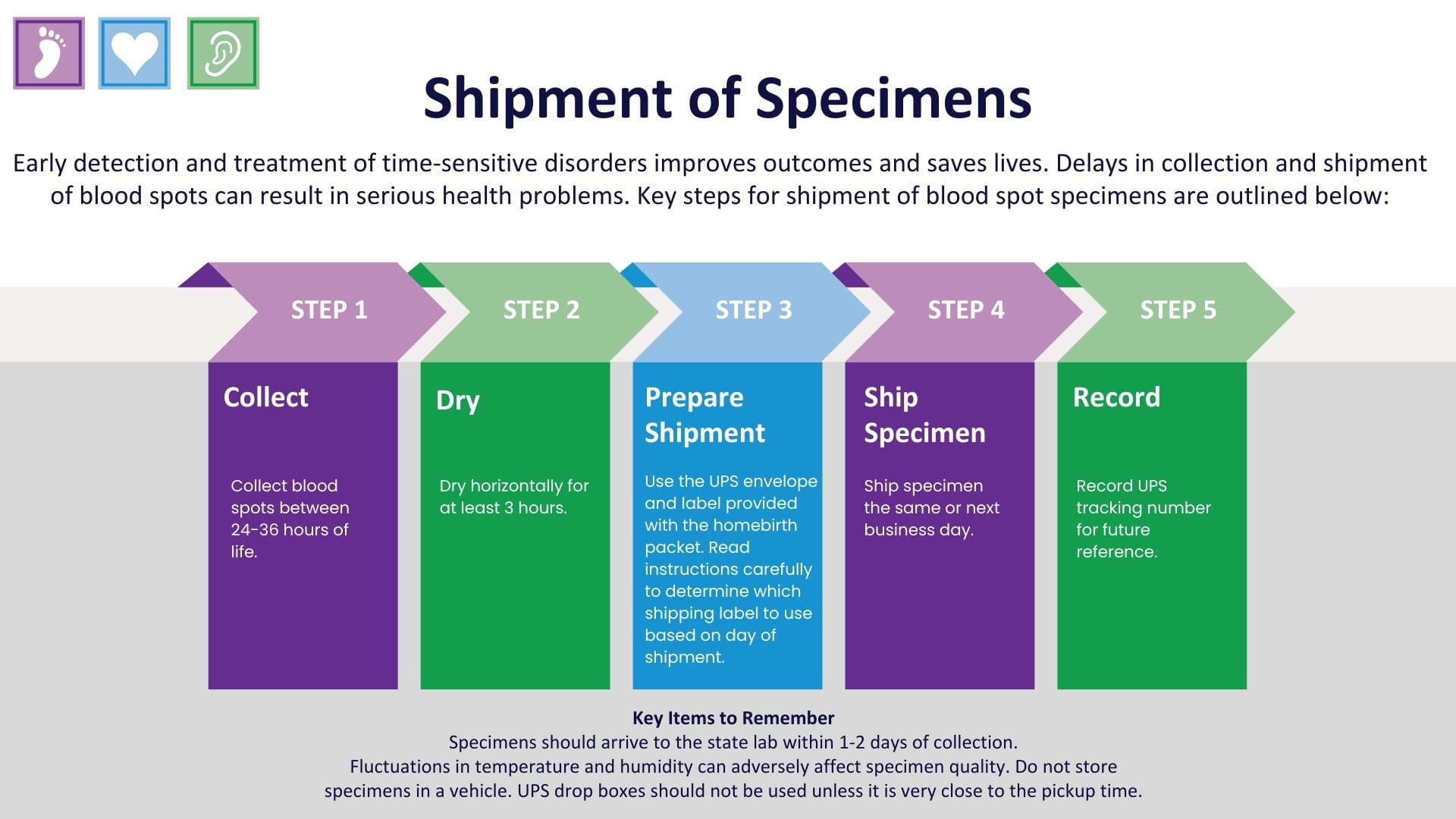Image with timeline for shipping newborn screening specimens in Michigan