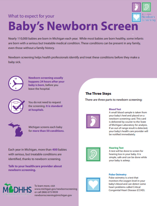 Screenshot of What to Expect Infographic