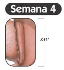 Semana 4