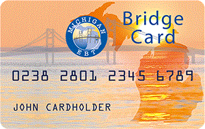Michigan Bridge Card