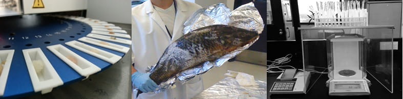 Trace Metals Fish Banner