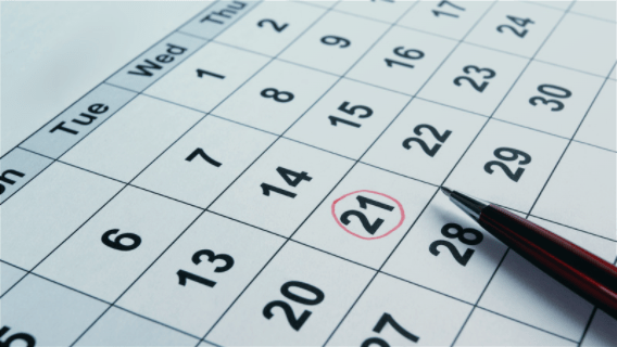 Meeting Schedule