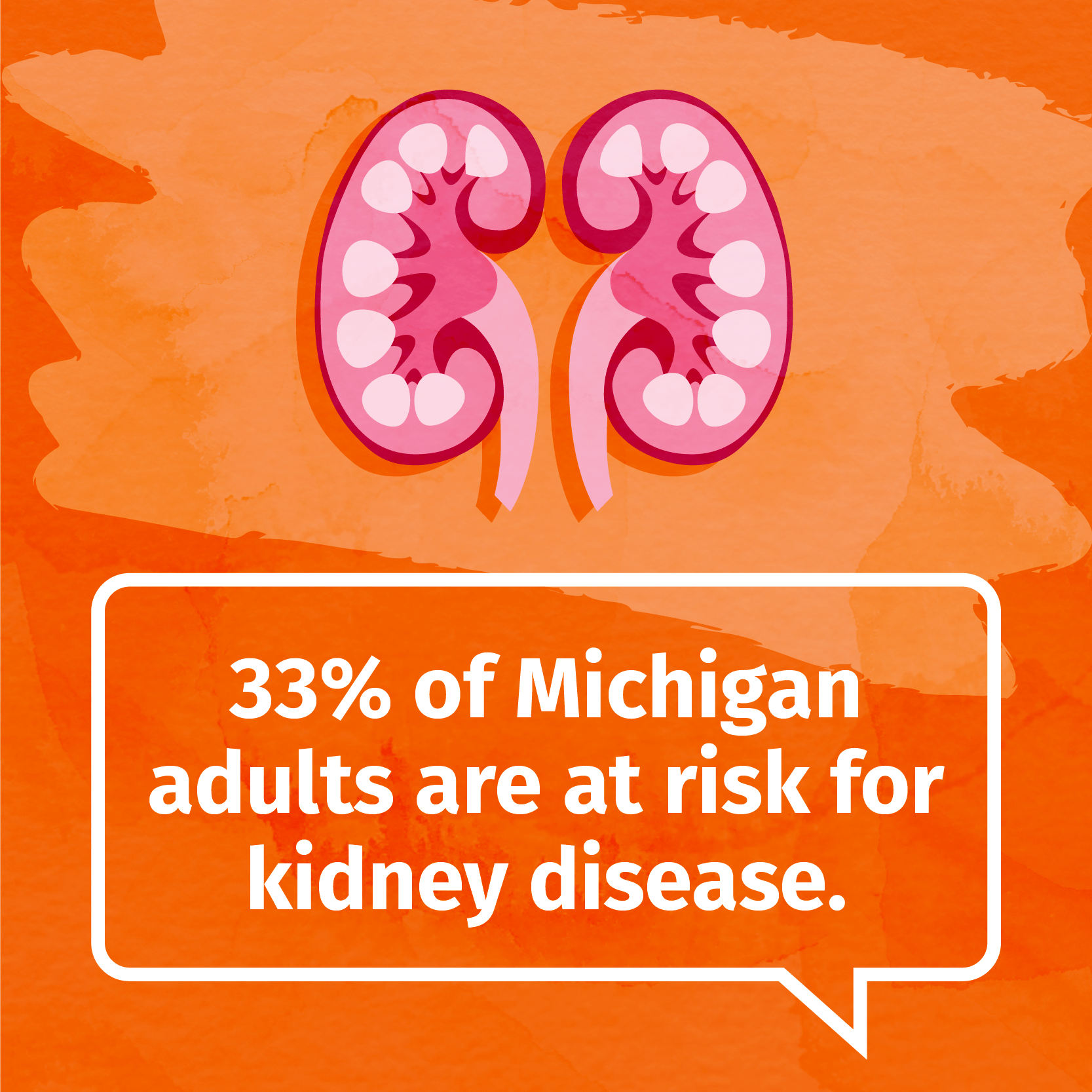 Kidney Disease