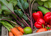 season produce, including carrots, tomatoes, beets, peppers