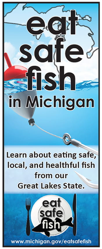 Image of the Eat Safe Fish in Michigan Brochure cover