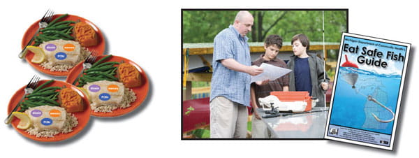 plates of fish with chemicals in them, man and children checking the Michigan Fish Advisory