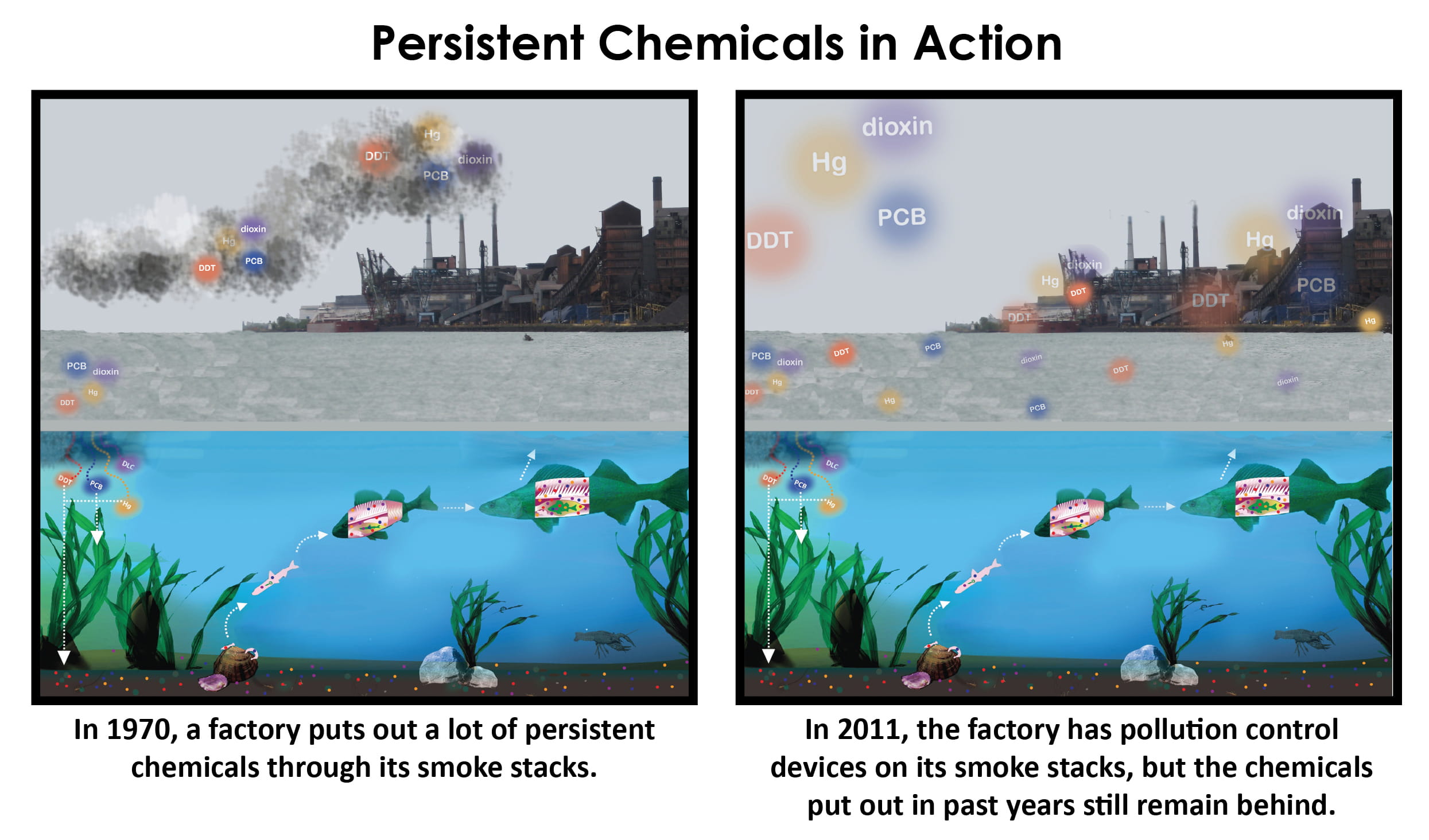 image demonstrating the concept of persistent chemicals in the environment