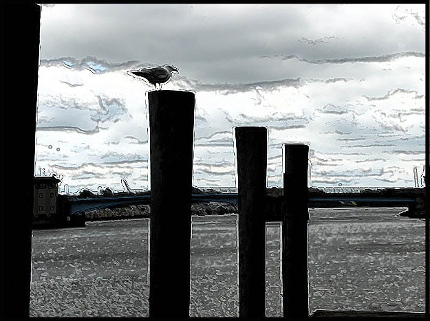 Stylized image of a seagull sitting on a pier in Bay City.