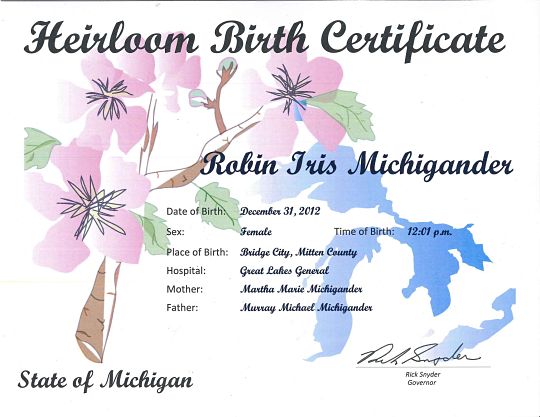 Apple Blossoms Heirloom Birth Certificate