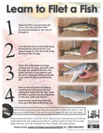 filet a fish - English filet a fish - English