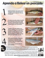 filet a fish - Spanish
