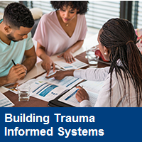 Building Trauma Informed Systems