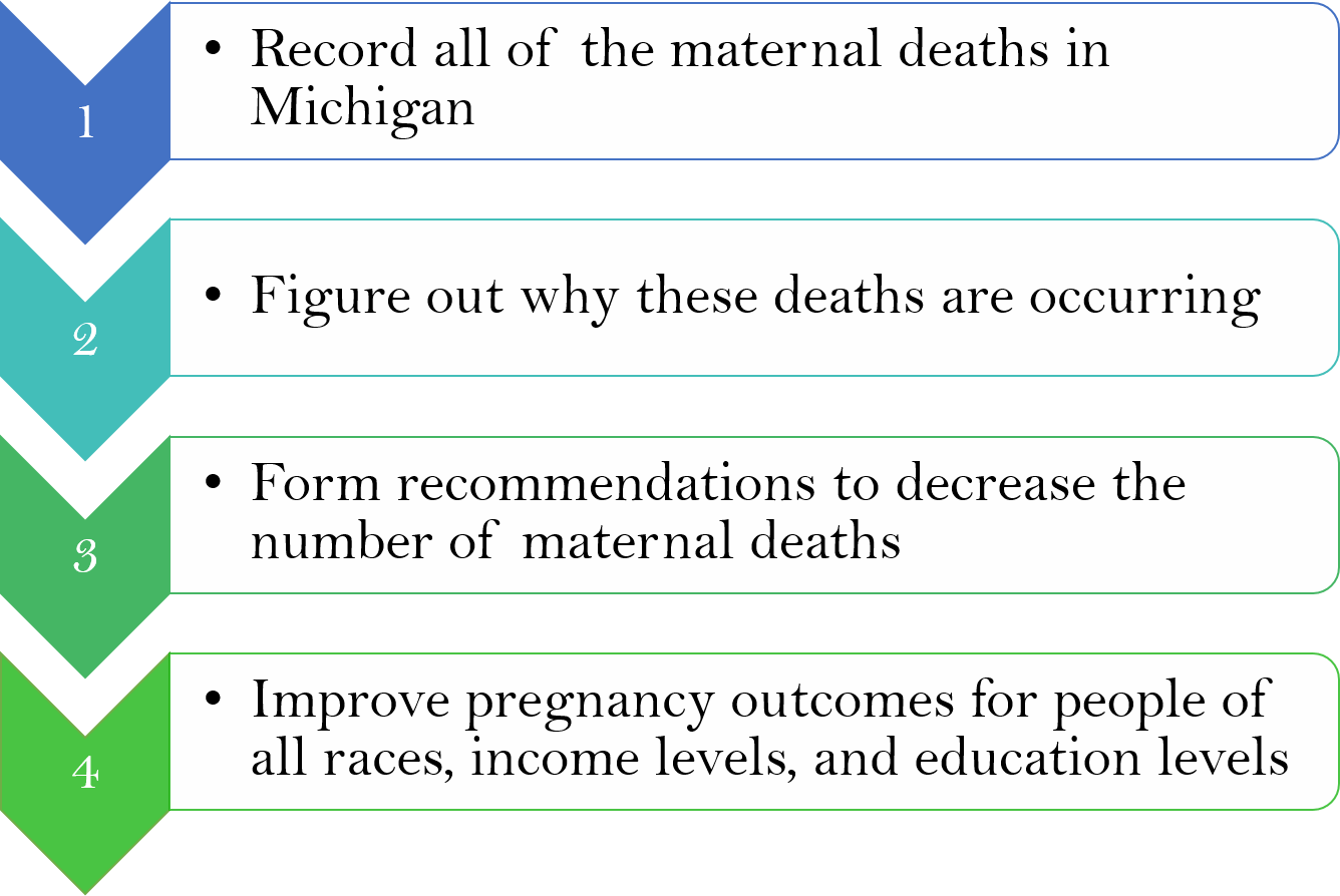 Description of the Maternal Mortality Review Process for the Public