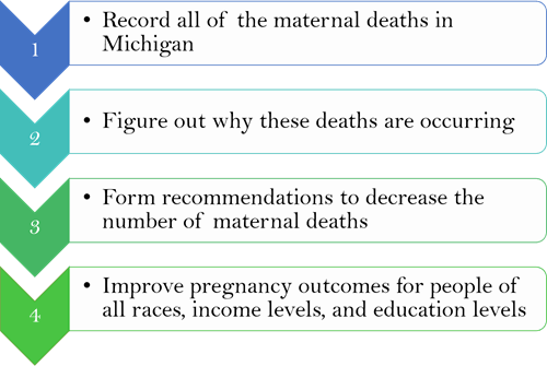Description of the Maternal Mortality Review Process for the Public