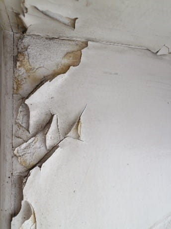 Lead on Wall
