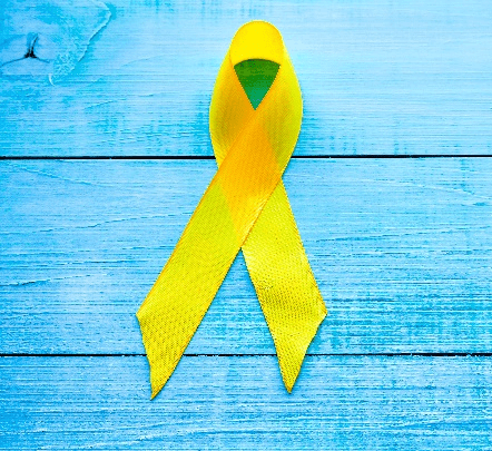 Bone Cancer Ribbon