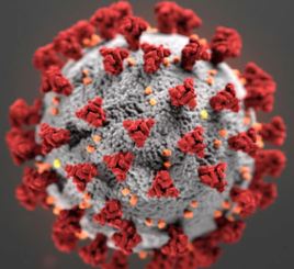 Image of COVID-19 molecule
