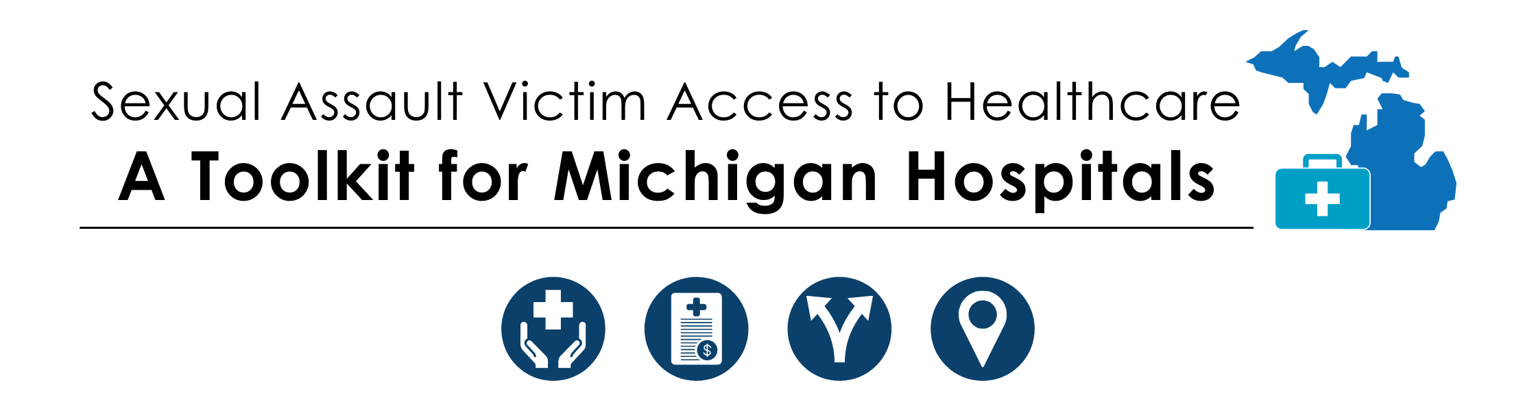 DVS Toolkit Banner 2.0