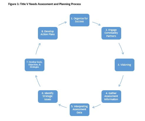 Figure 1: Title V Needs Assessment and Planning Process