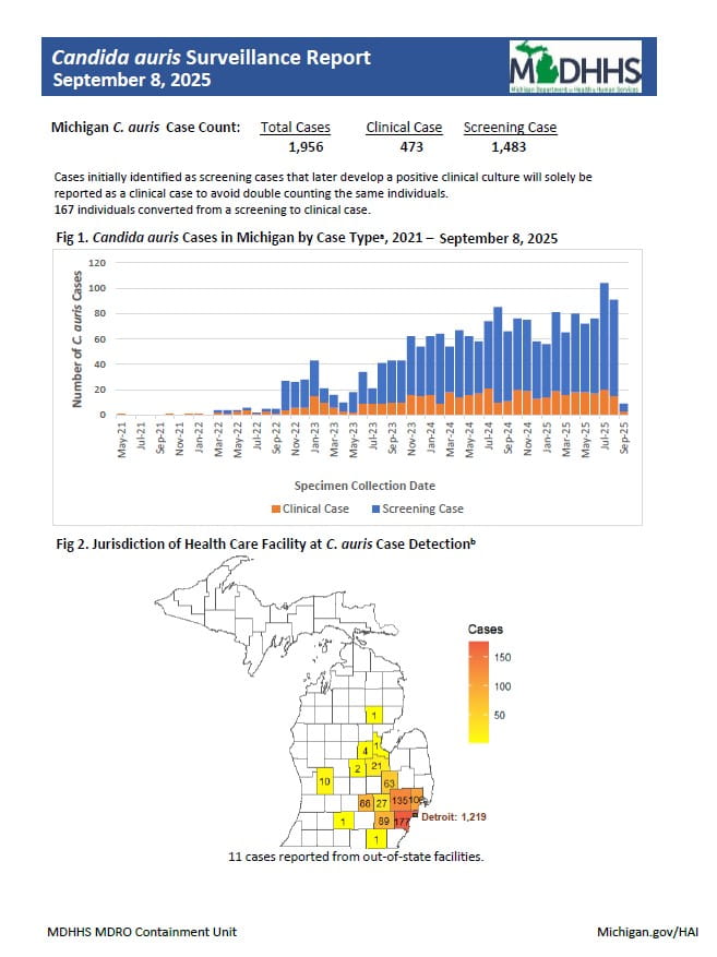 Weekly candida auris update