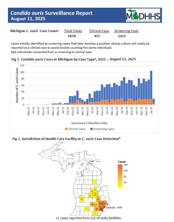 updated candida auris data