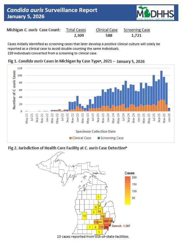 Weekly candida auris summary