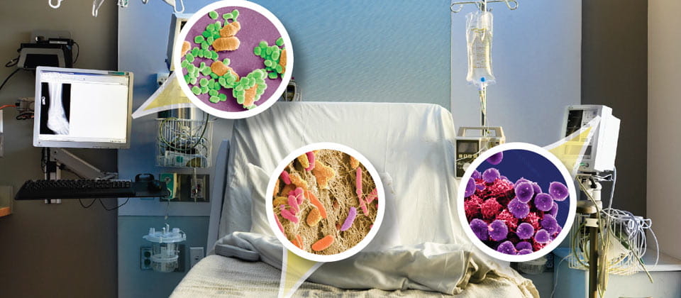Germs Live Environment