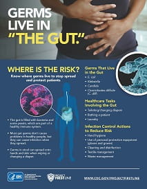 Germs Live in the Gut