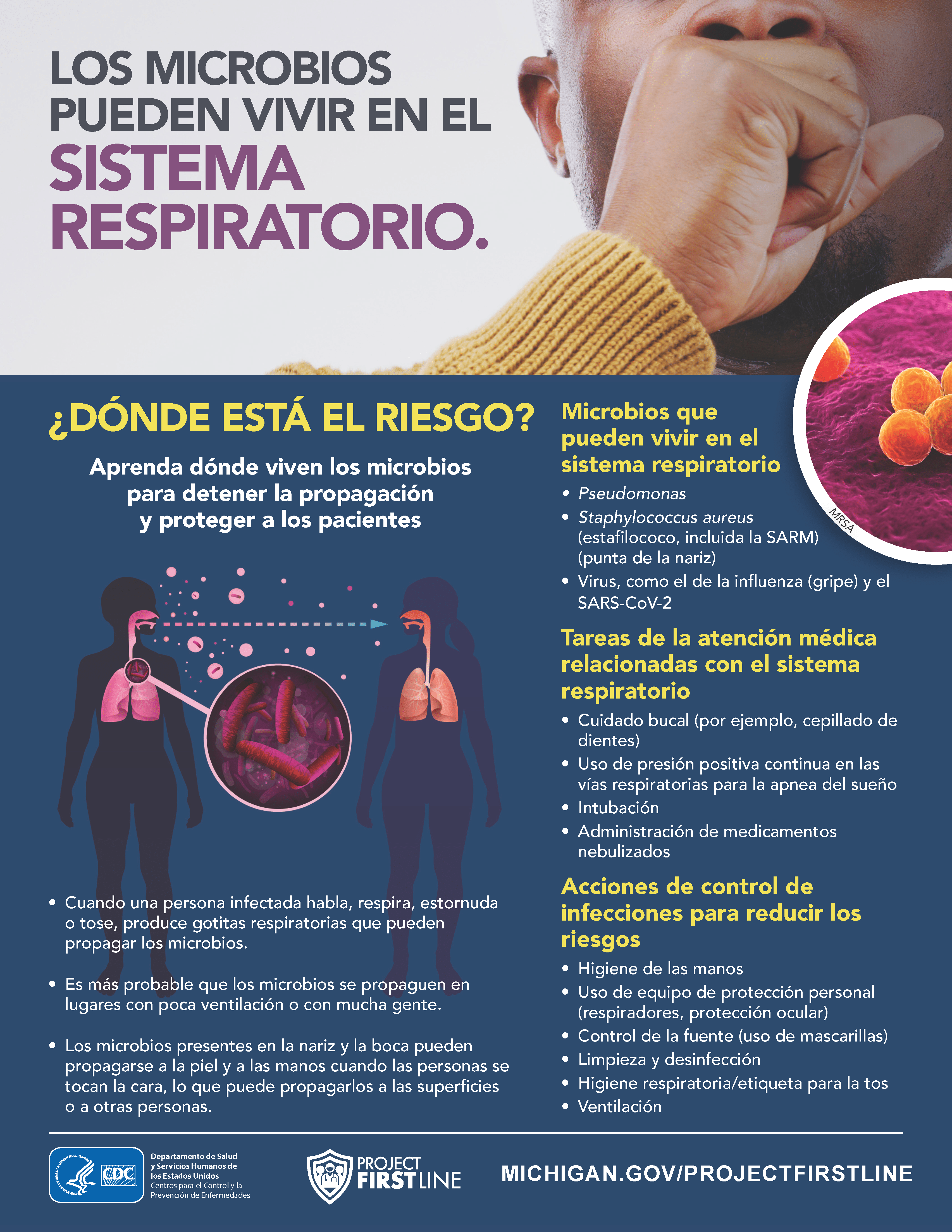 Respiratory System Profile Spanish