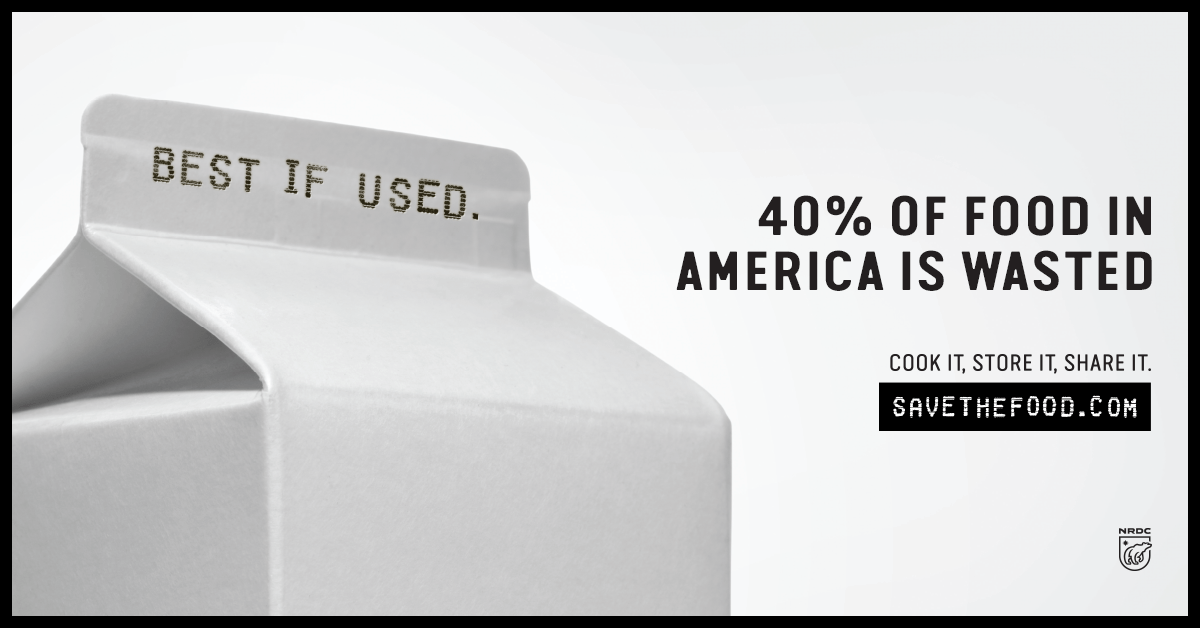 Food Waste Infographic