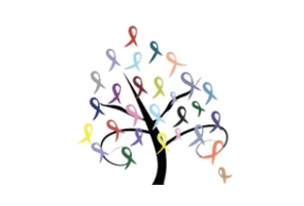 A tree full of colorful ribbons - cancer ribbons.  This picture is used on the Michigan Cancer Section website to honor Cancer Suvivorship